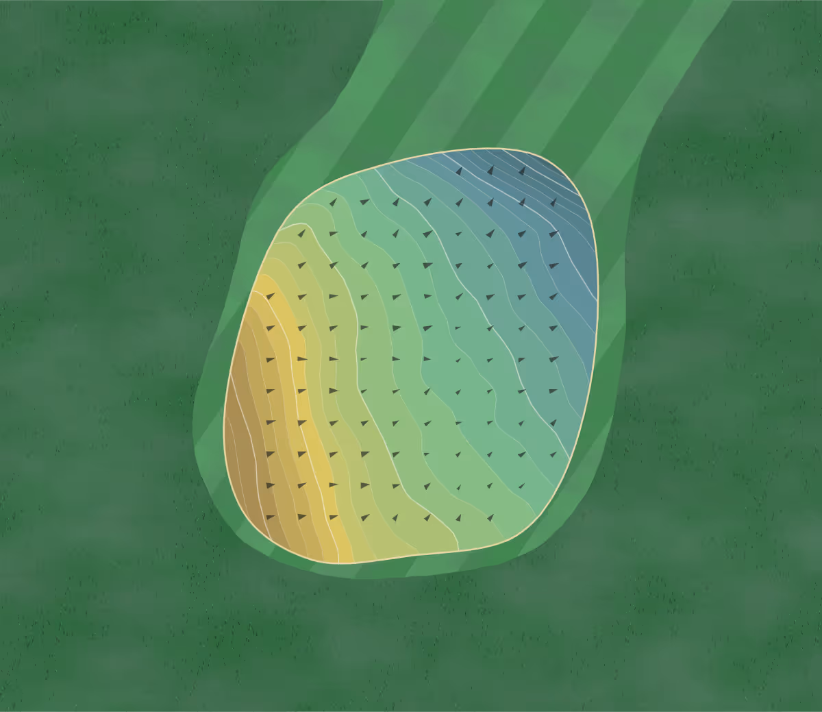 Green contour map of Stonington CC in Stonington, Connecticut — 175 elevation contours at a 3-inch interval with fall-line arrows, traced from 1-meter lidar