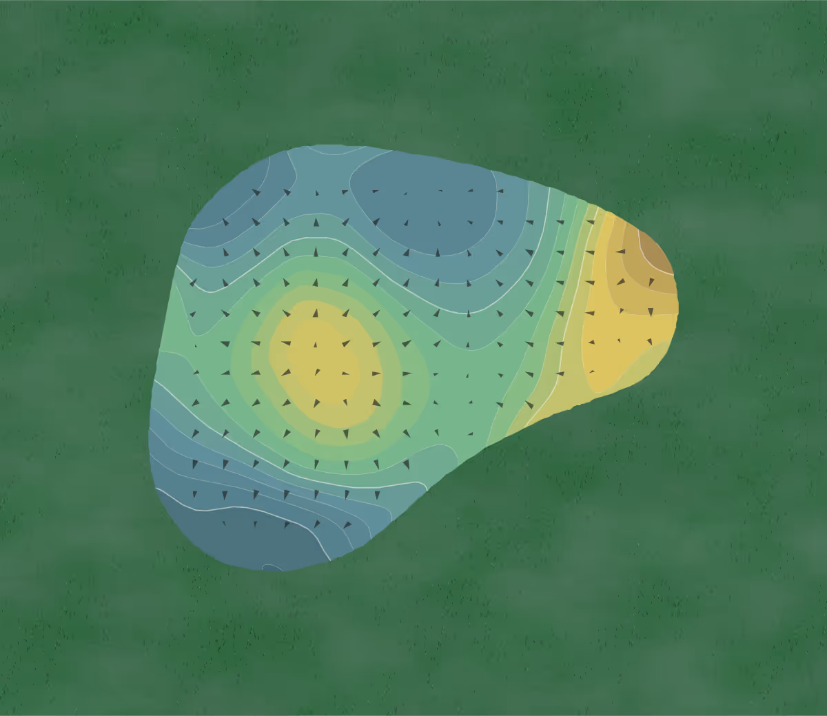 Green contour map of Stony Creek in Oak Lawn, Illinois — 244 elevation contours at a 3-inch interval with fall-line arrows, traced from 1-meter lidar