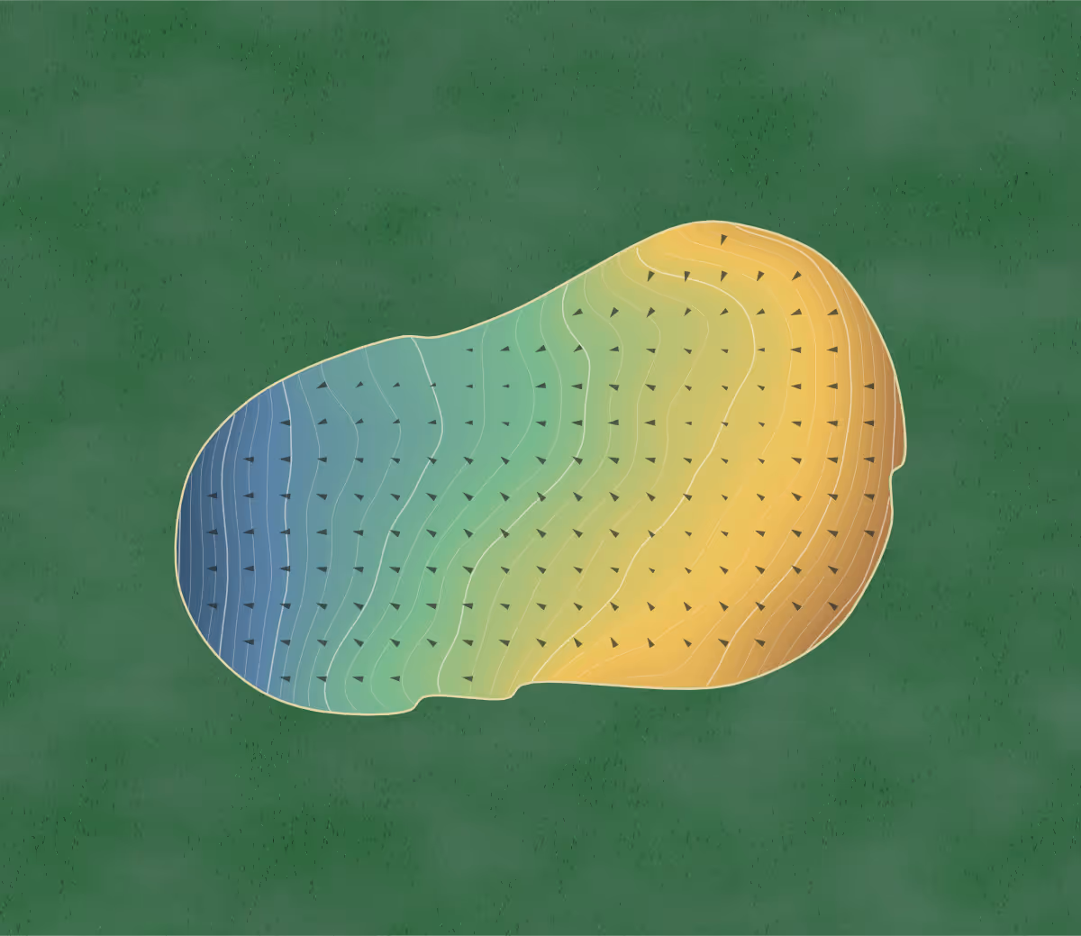 Green contour map of Stonycreek in Muncie, Indiana: 442 elevation contours at a 3-inch interval with fall-line arrows, traced from 1-meter lidar