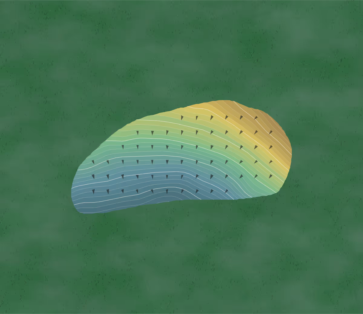 Green contour map of Stoughton in Stoughton, Wisconsin — 217 elevation contours at a 3-inch interval with fall-line arrows, traced from 1-meter lidar