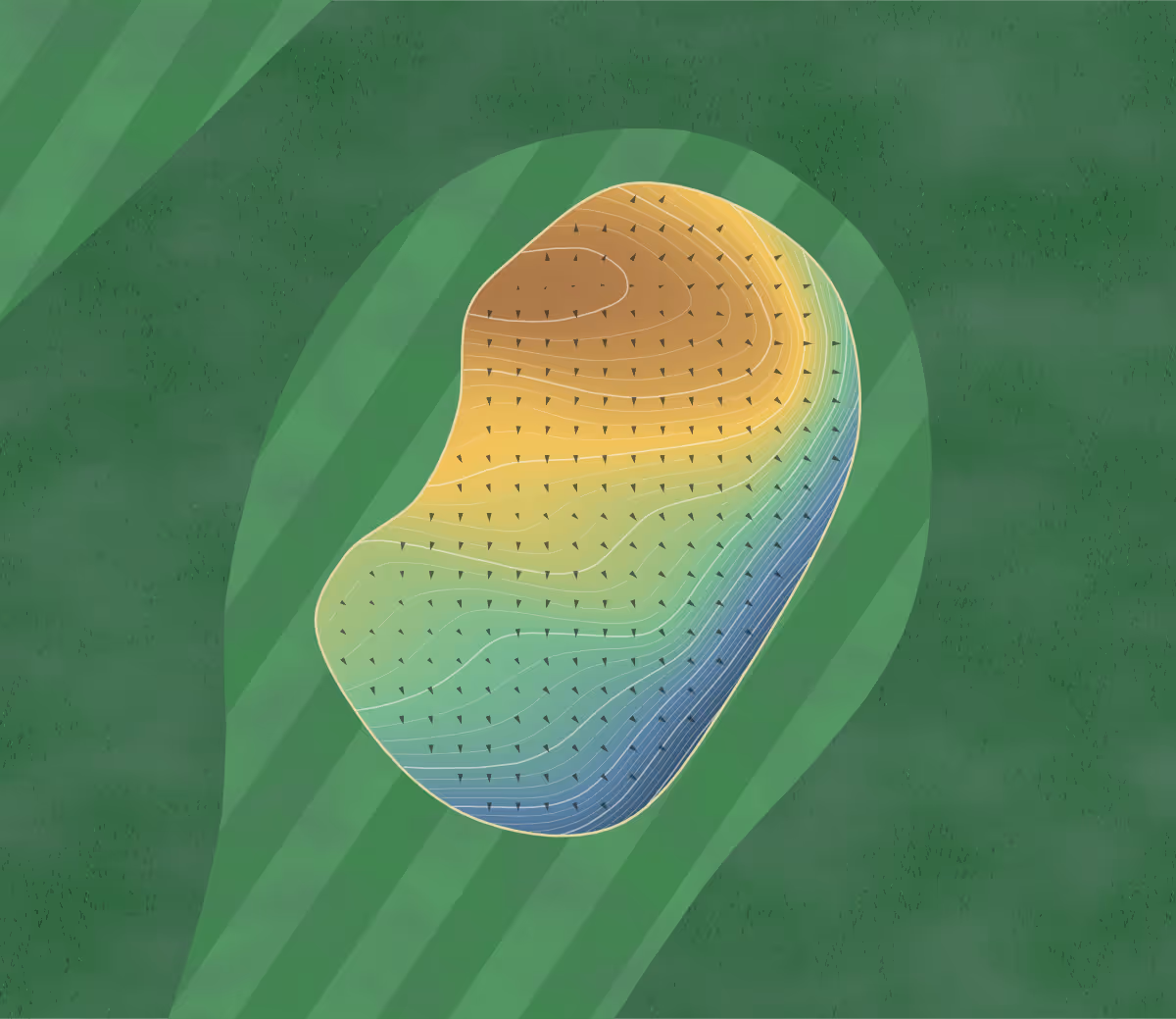 Green contour map of Strabane in Strabane, United Kingdom — 294 elevation contours at a 8-centimeter interval with fall-line arrows, traced from 1-meter lidar