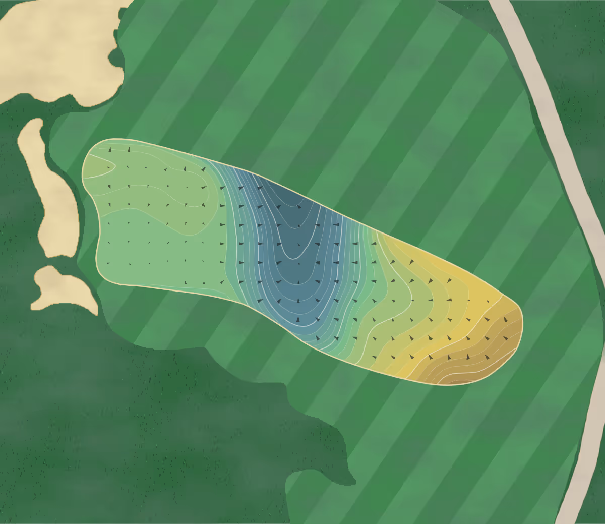 Green contour map of Streamsong (Red/Blue) in Bowling Green, Florida — 343 elevation contours at a 3-inch interval with fall-line arrows, traced from 1-meter lidar