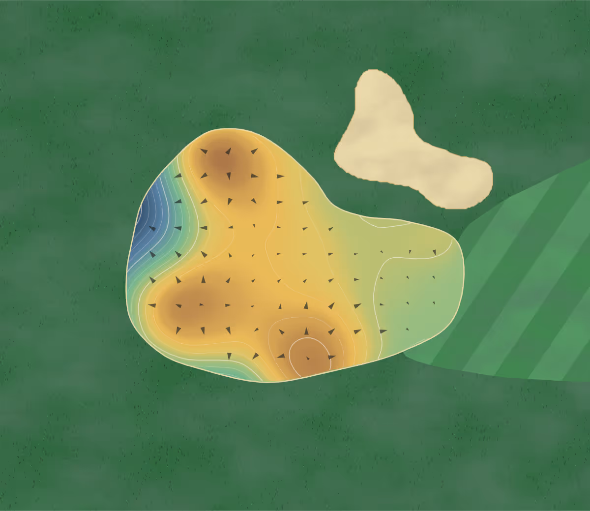 Green contour map of Sturgeon Point in Fenelon Falls, Canada — 72 elevation contours at a 8-centimeter interval with fall-line arrows, traced from 1-meter lidar