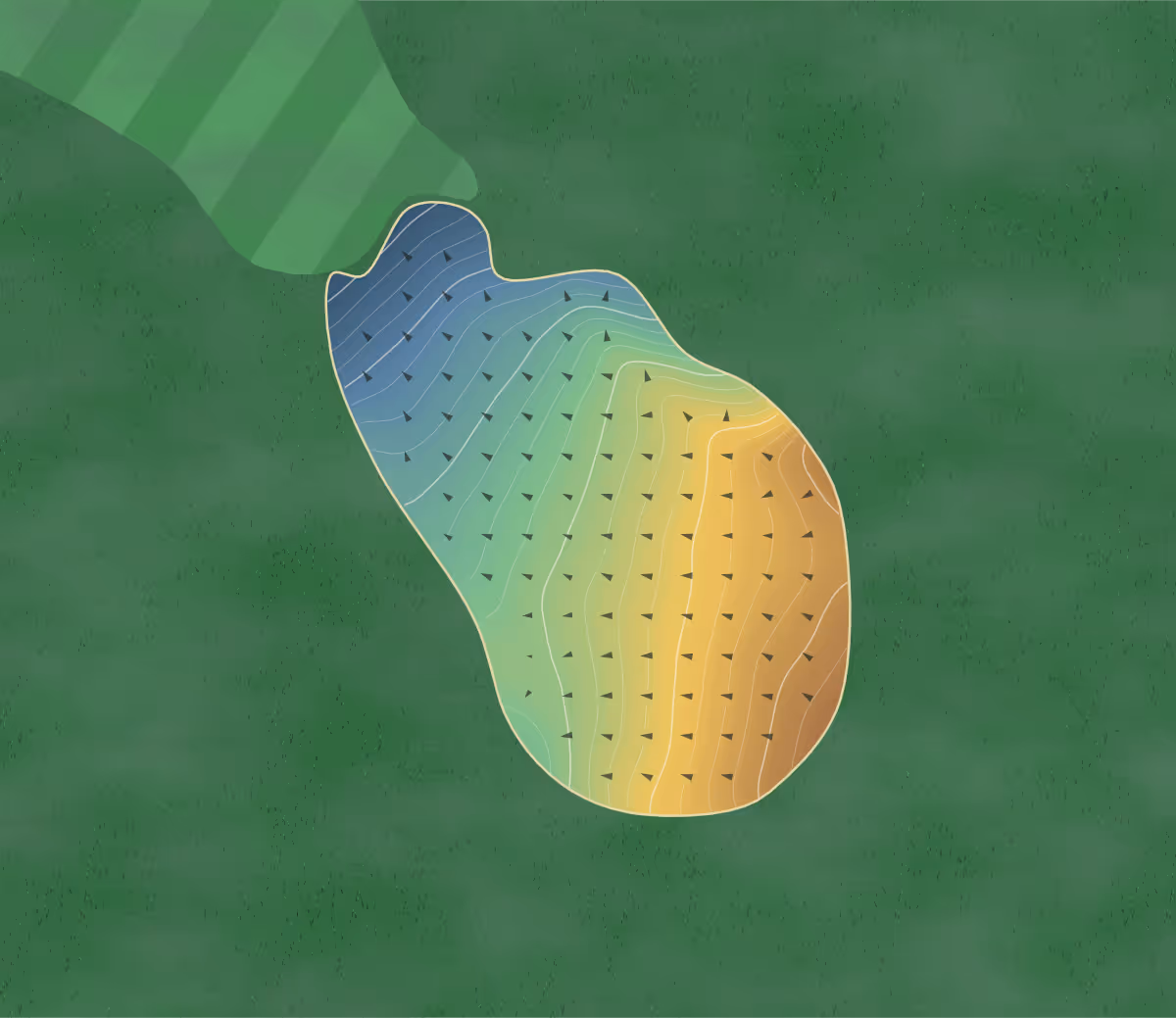 Green contour map of Summerheights in Cornwall, Canada: 395 elevation contours at a 8-centimeter interval with fall-line arrows, traced from 1-meter lidar
