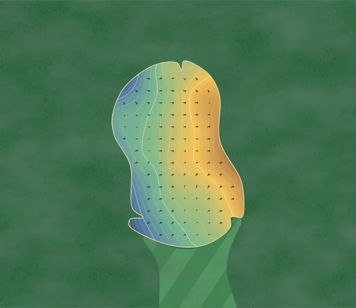 Green contour map of Summit in Bellaire, Michigan: 253 elevation contours at a 3-inch interval with fall-line arrows, traced from 1-meter lidar