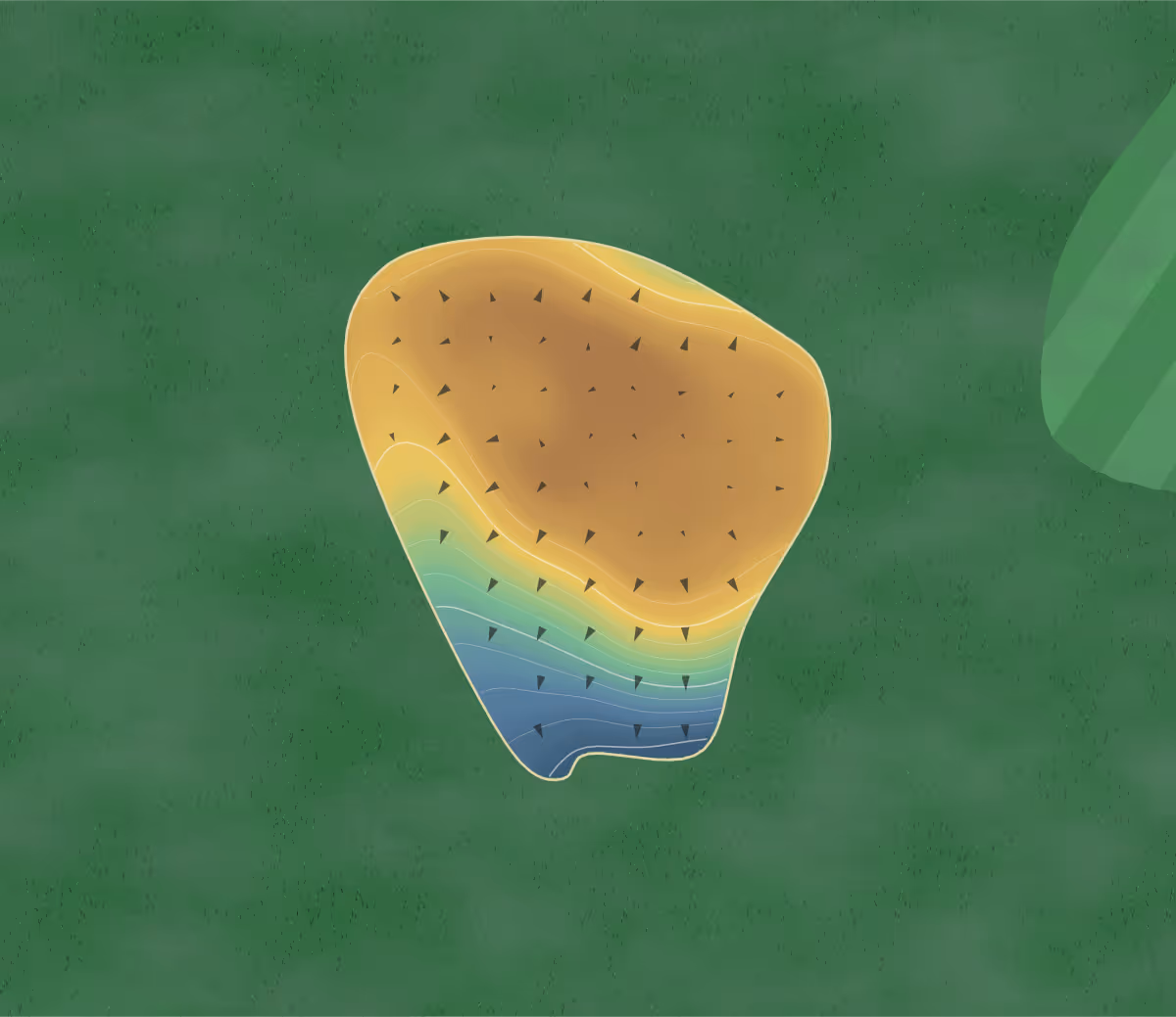 Green contour map of Sunnidell Golf in Brockville, Canada: 62 elevation contours at a 8-centimeter interval with fall-line arrows, traced from 1-meter lidar