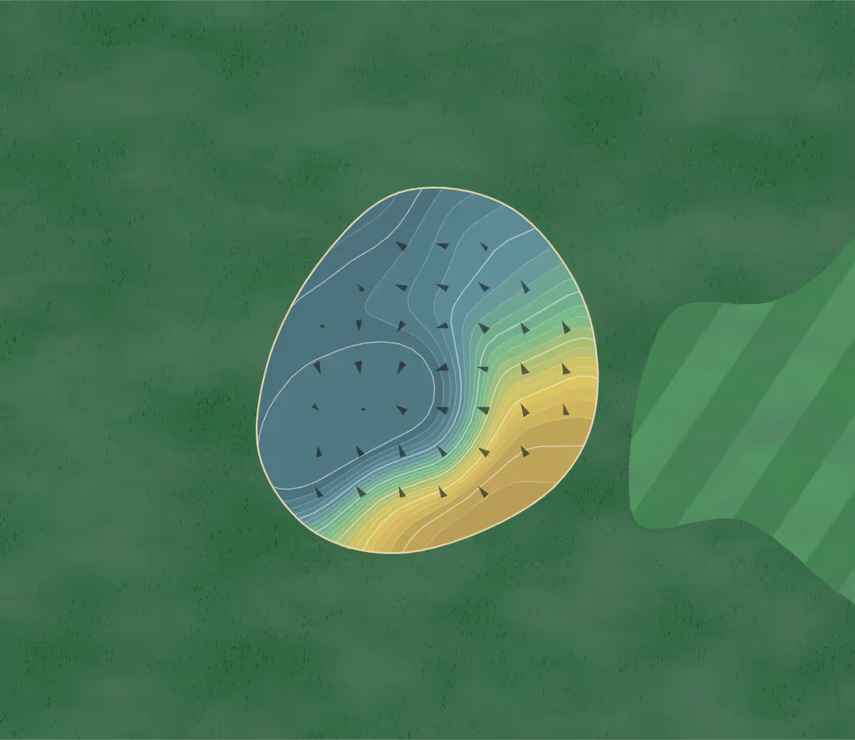 Green contour map of Sunningdale CC in Scarsdale, New York — 365 elevation contours at a 3-inch interval with fall-line arrows, traced from 1-meter lidar