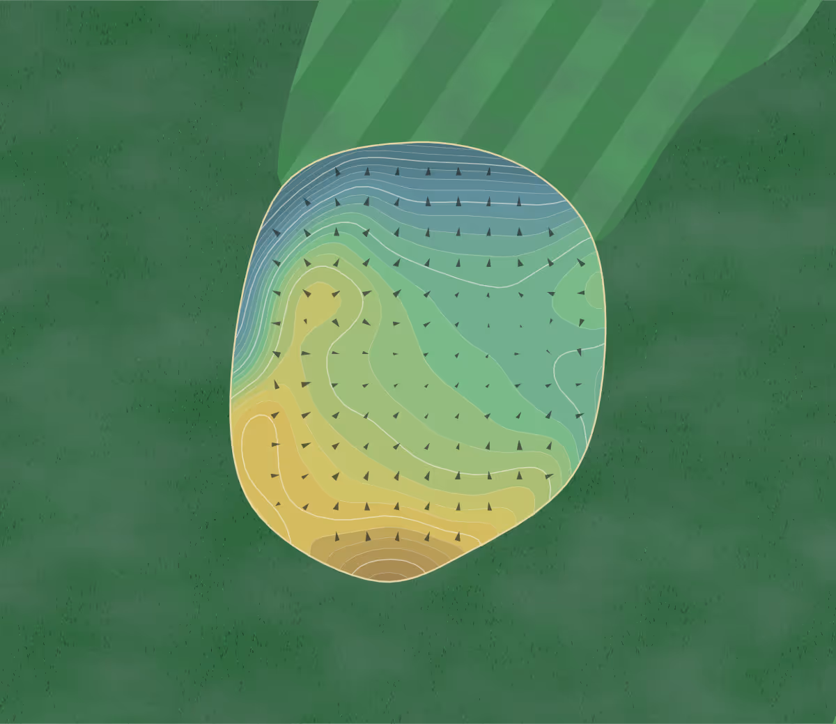 Green contour map of Sunnybrook GC in Plymouth Meeting, Pennsylvania — 279 elevation contours at a 3-inch interval with fall-line arrows, traced from 1-meter lidar