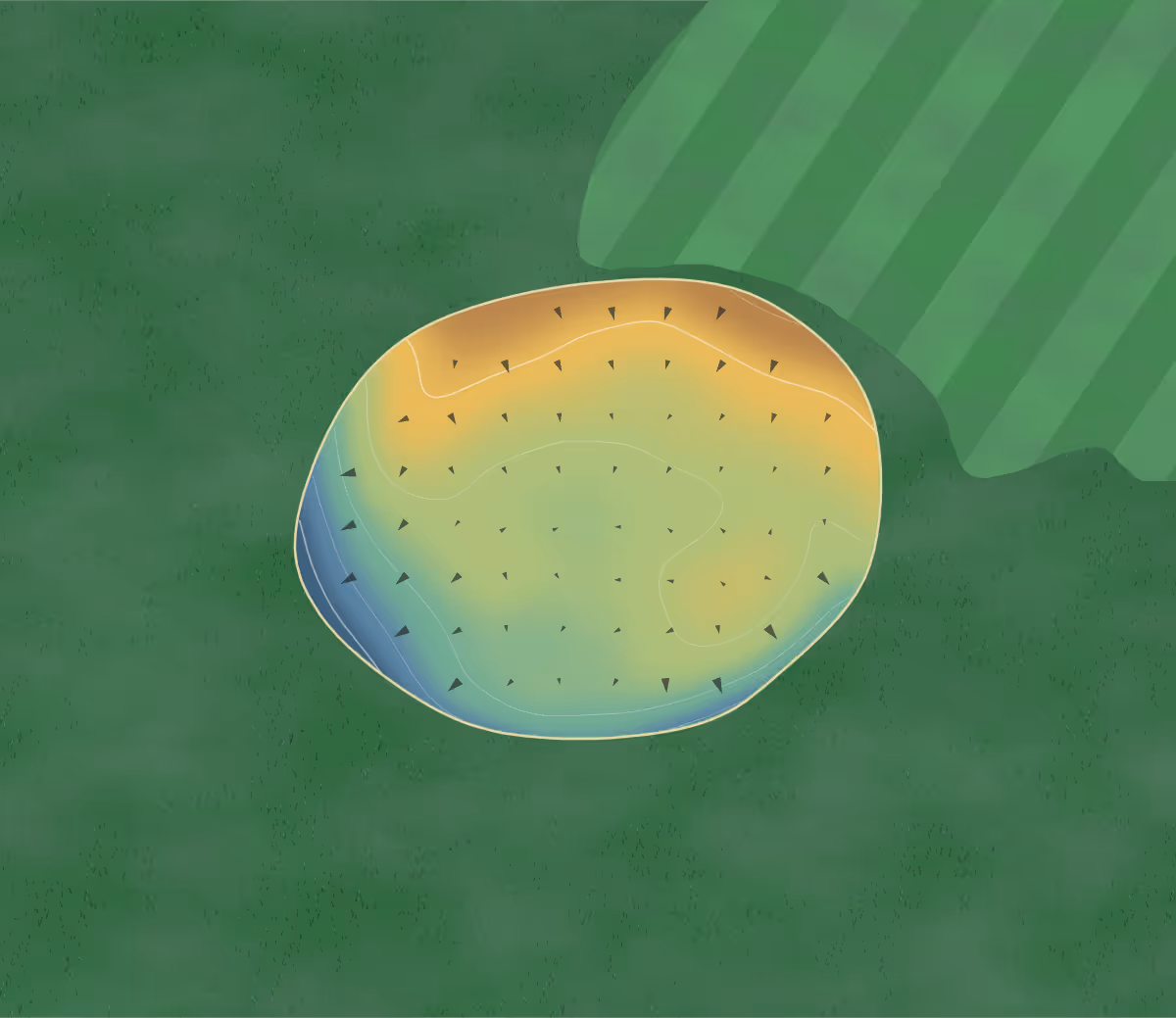 Green contour map of Sunnyside in Canada: 16 elevation contours at a 8-centimeter interval with fall-line arrows, traced from 1-meter lidar
