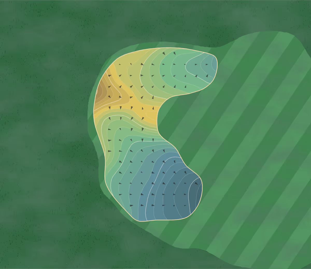 Green contour map of SunRidge Canyon in Fountin Hills, Arizona — 203 elevation contours at a 3-inch interval with fall-line arrows, traced from 1-meter lidar