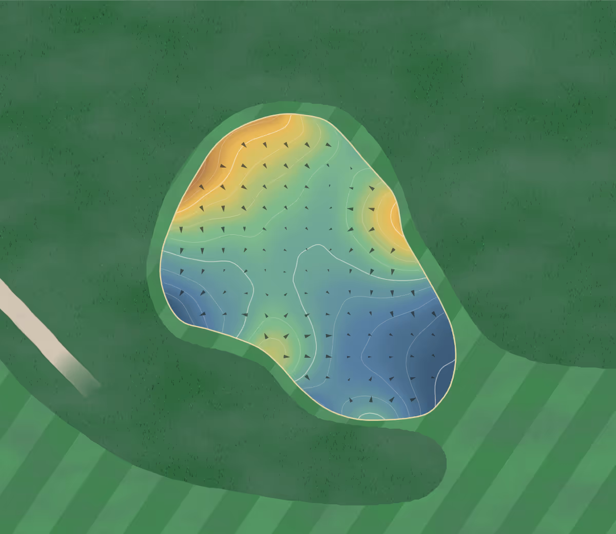 Green contour map of Surrey in Surrey, Canada: 78 elevation contours at a 8-centimeter interval with fall-line arrows, traced from 1-meter lidar