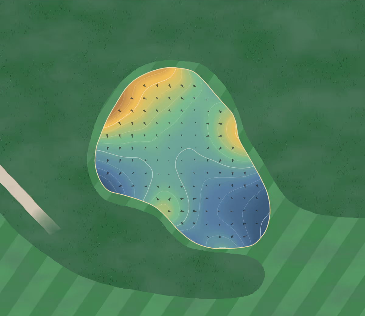 Green contour map of Surrey in Surrey, Canada — 78 elevation contours at a 8-centimeter interval with fall-line arrows, traced from 1-meter lidar