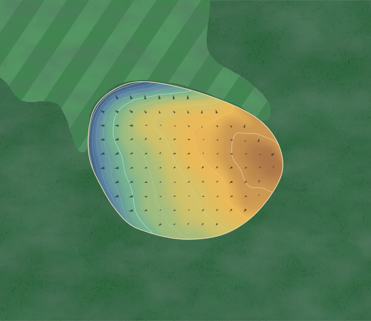 Green contour map of Sutton Hall in Runcorn, England: 9 elevation contours at a 8-centimeter interval with fall-line arrows, traced from 1-meter lidar
