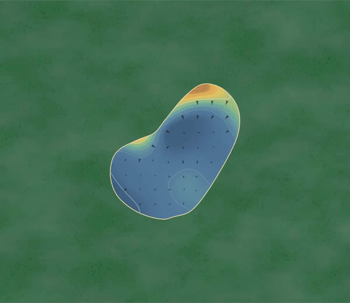 Green contour map of Swallow Hall in York, England — 123 elevation contours at a 8-centimeter interval with fall-line arrows, traced from 1-meter lidar