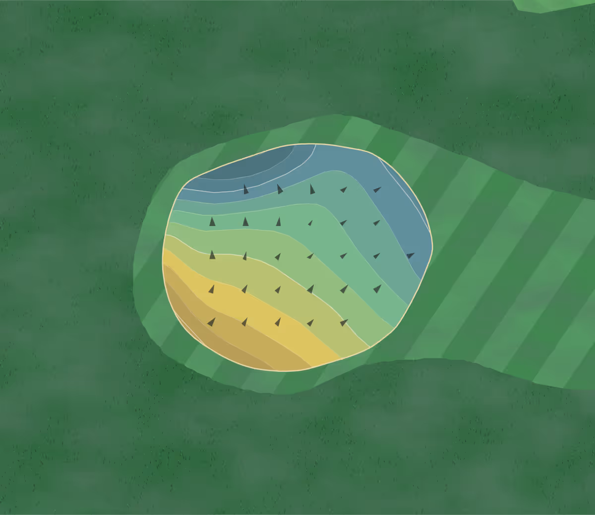 Green contour map of Swallows Nest in Sacramento, California — 81 elevation contours at a 3-inch interval with fall-line arrows, traced from 1-meter lidar