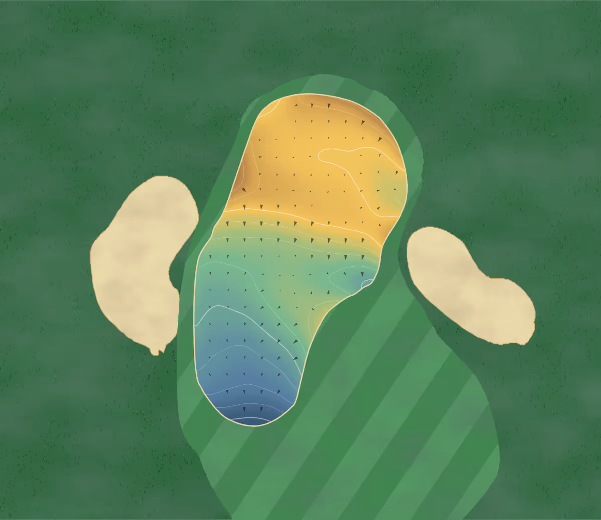 Green contour map of Swan-E-Set Bay in Pitt Meadows, Canada — 137 elevation contours at a 8-centimeter interval with fall-line arrows, traced from 1-meter lidar