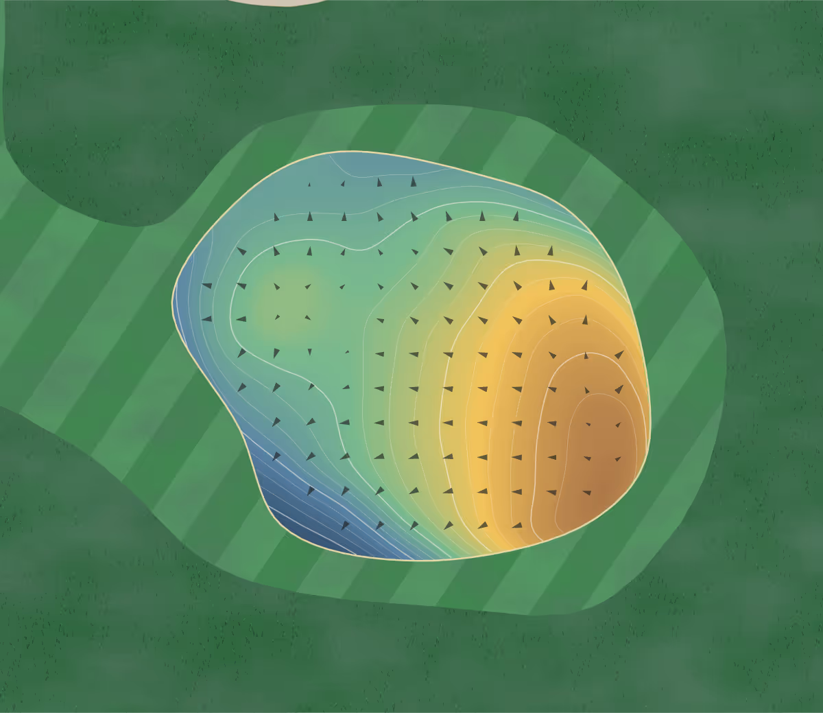Green contour map of Swan Lake in Pengilly, Minnesota — 264 elevation contours at a 3-inch interval with fall-line arrows, traced from 1-meter lidar