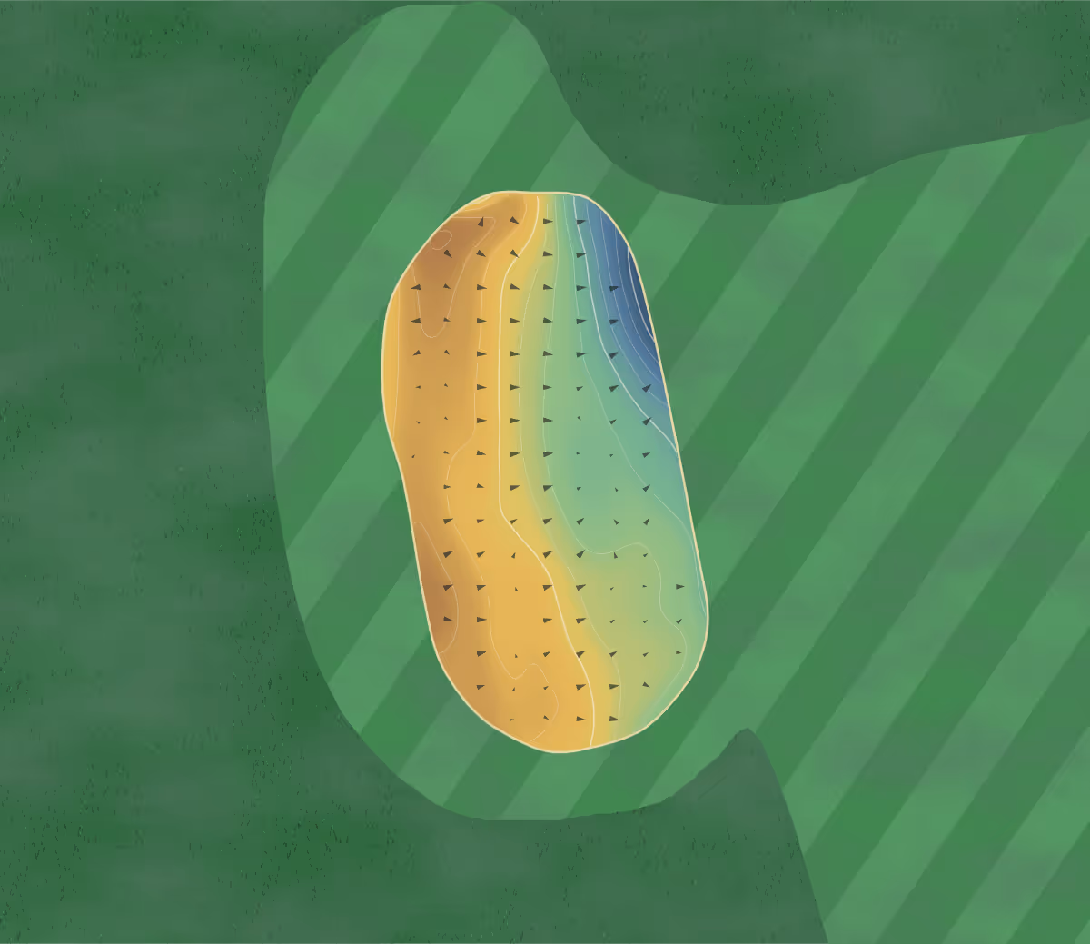 Green contour map of Tadmarton Heath in Banbury, England — 146 elevation contours at a 8-centimeter interval with fall-line arrows, traced from 1-meter lidar