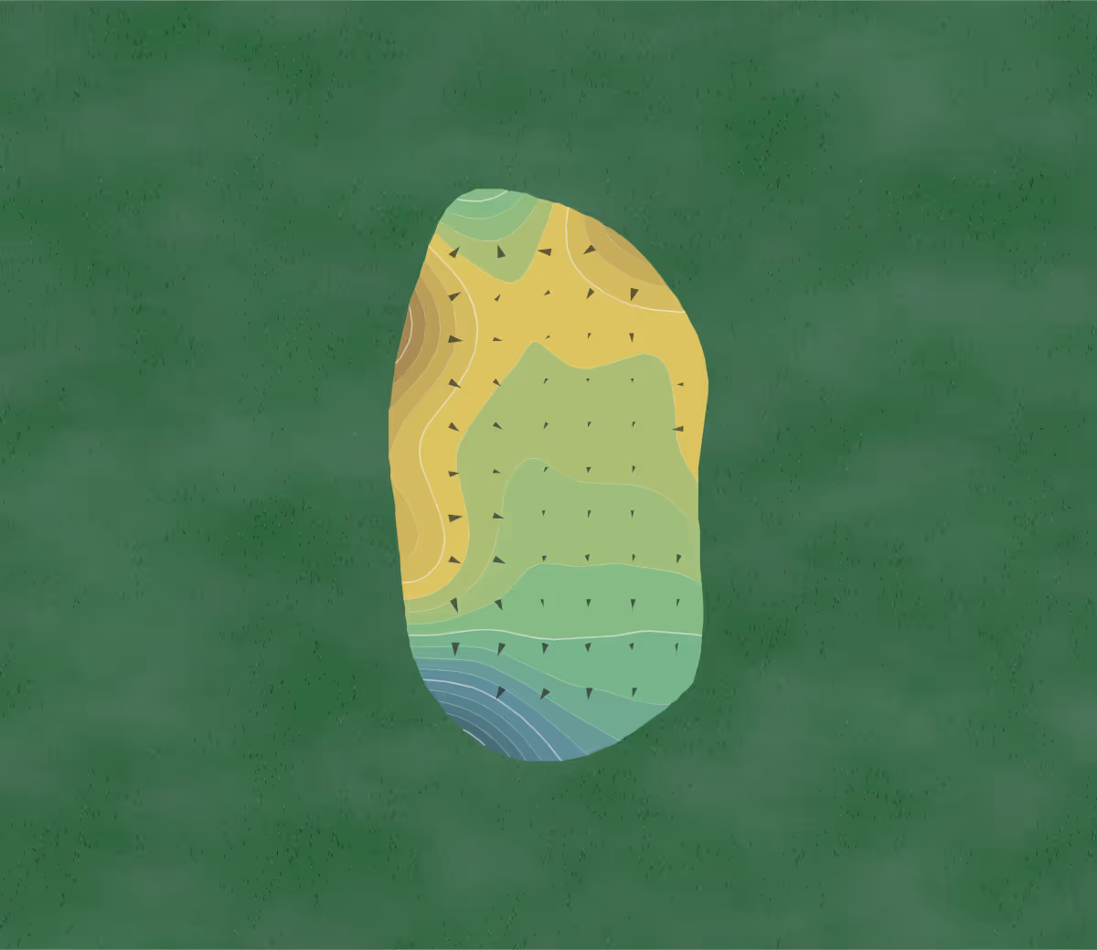 Green contour map of Talega in San Clemente, California — 29 elevation contours at a 3-inch interval with fall-line arrows, traced from 1-meter lidar