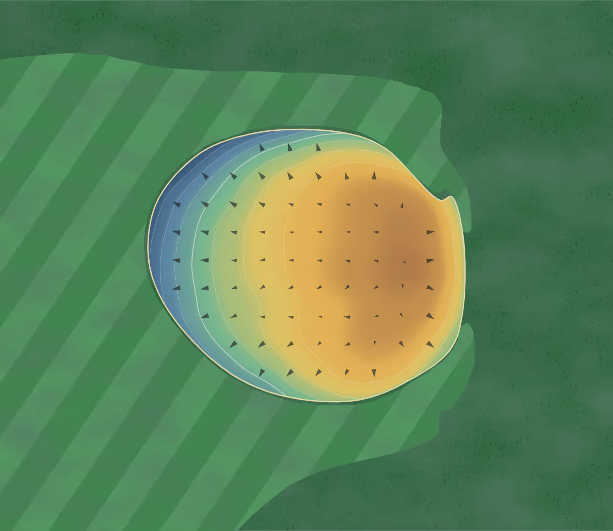 Green contour map of Tall Oaks in Toluca, Illinois: 73 elevation contours at a 3-inch interval with fall-line arrows, traced from 1-meter lidar