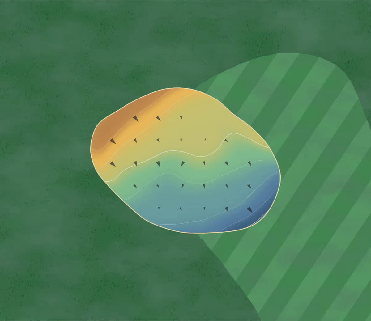 Green contour map of Tallebudgera in Tallebudgera, Australia — 7 elevation contours at a 8-centimeter interval with fall-line arrows, traced from 1-meter lidar
