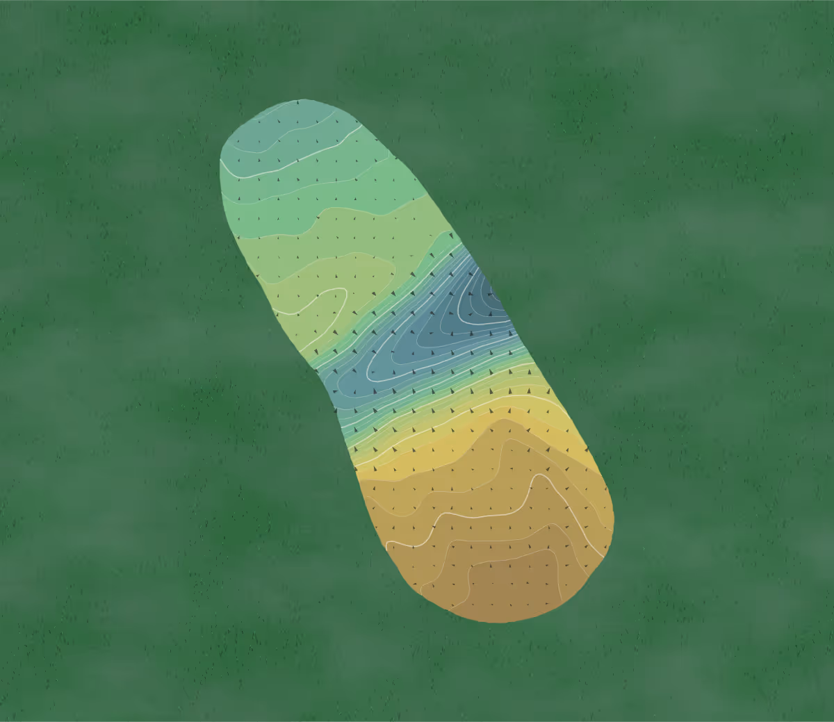 Green contour map of Tamarack CC in Greenwich, Connecticut — 308 elevation contours at a 3-inch interval with fall-line arrows, traced from 1-meter lidar