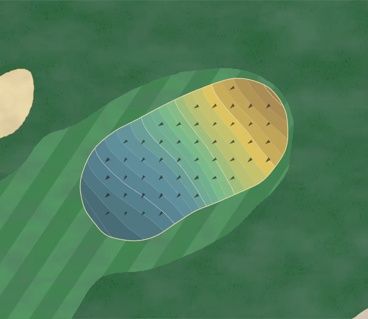 Green contour map of Tanglewood Golf Course in Taylorsville, Kentucky — 197 elevation contours at a 3-inch interval with fall-line arrows, traced from 1-meter lidar