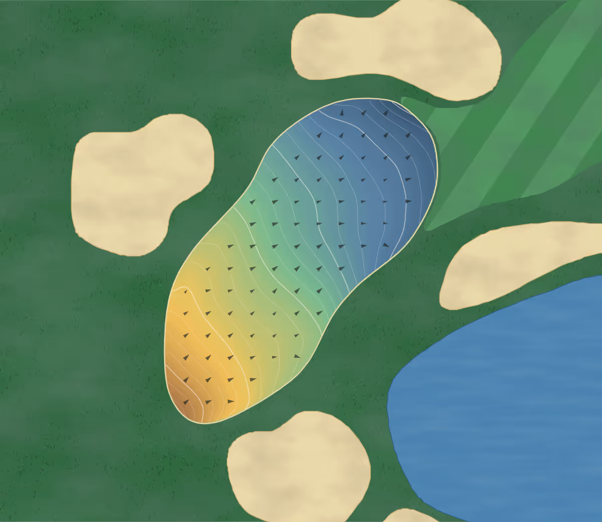 Green contour map of Tanigumi in Japan: 215 elevation contours at a 8-centimeter interval with fall-line arrows, traced from 1-meter lidar