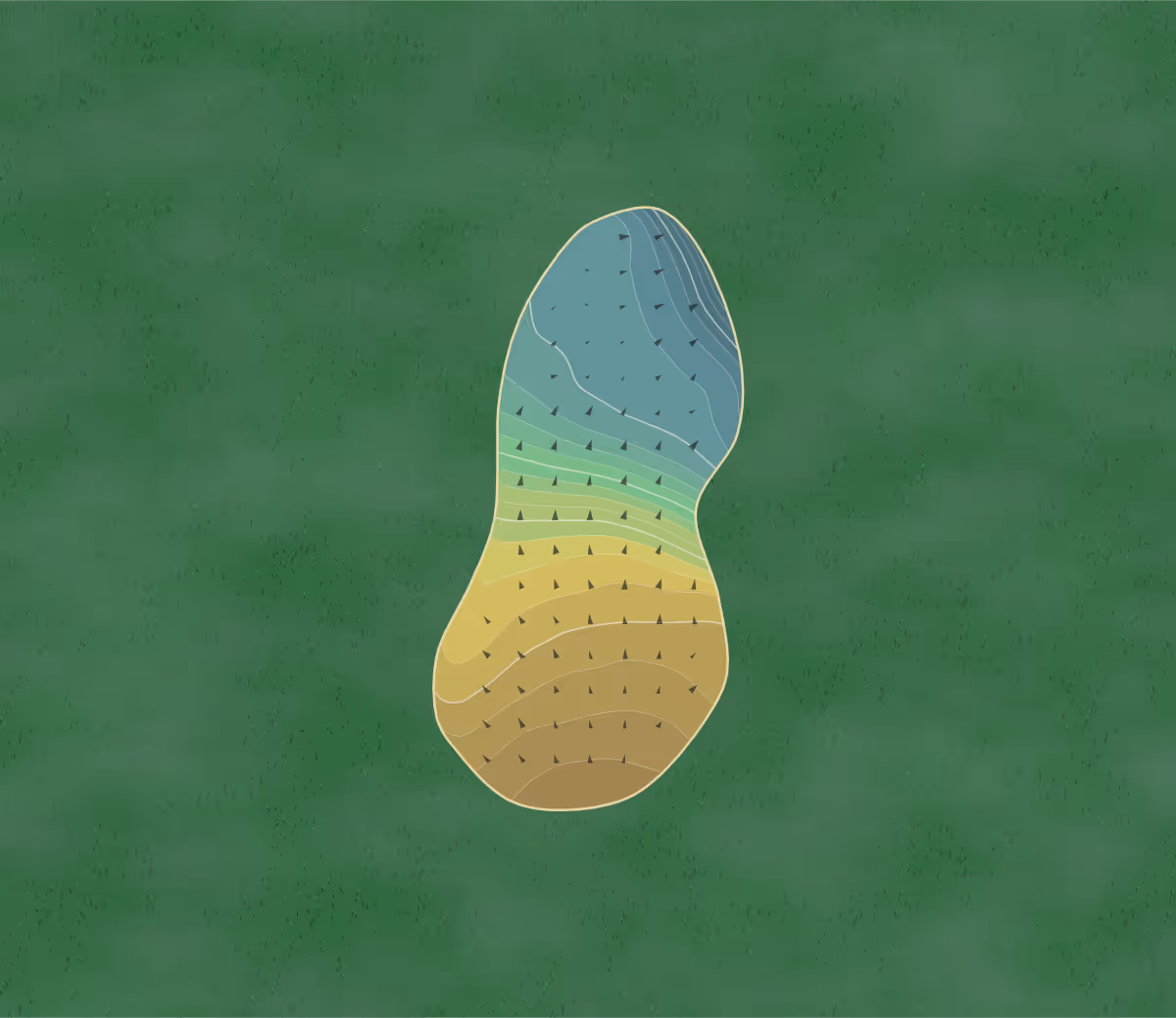 Green contour map of Tankersley Park in Sheffield, England — 235 elevation contours at a 8-centimeter interval with fall-line arrows, traced from 1-meter lidar