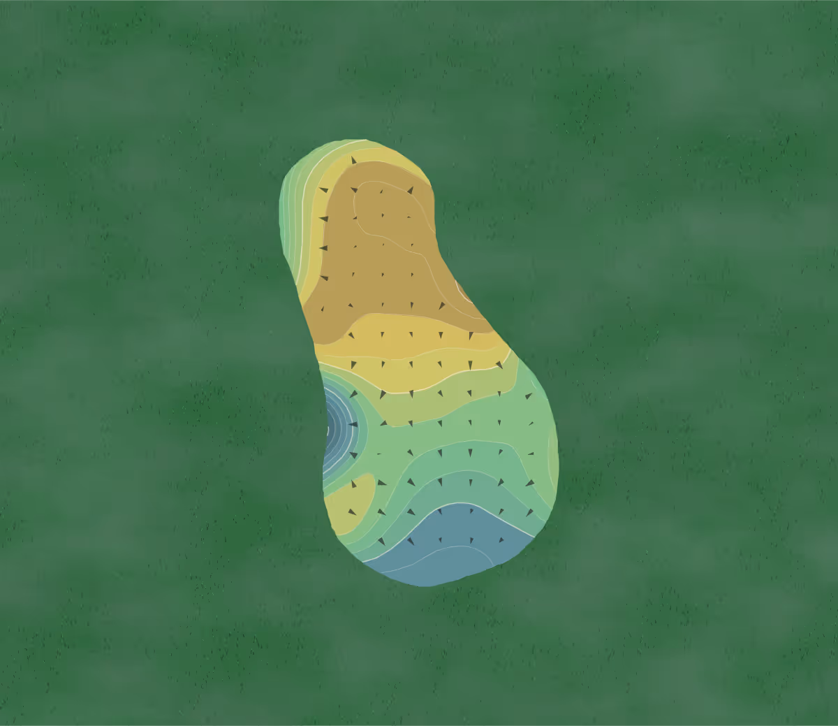 Green contour map of Tannenhauf in Alliance, Ohio — 233 elevation contours at a 3-inch interval with fall-line arrows, traced from 1-meter lidar