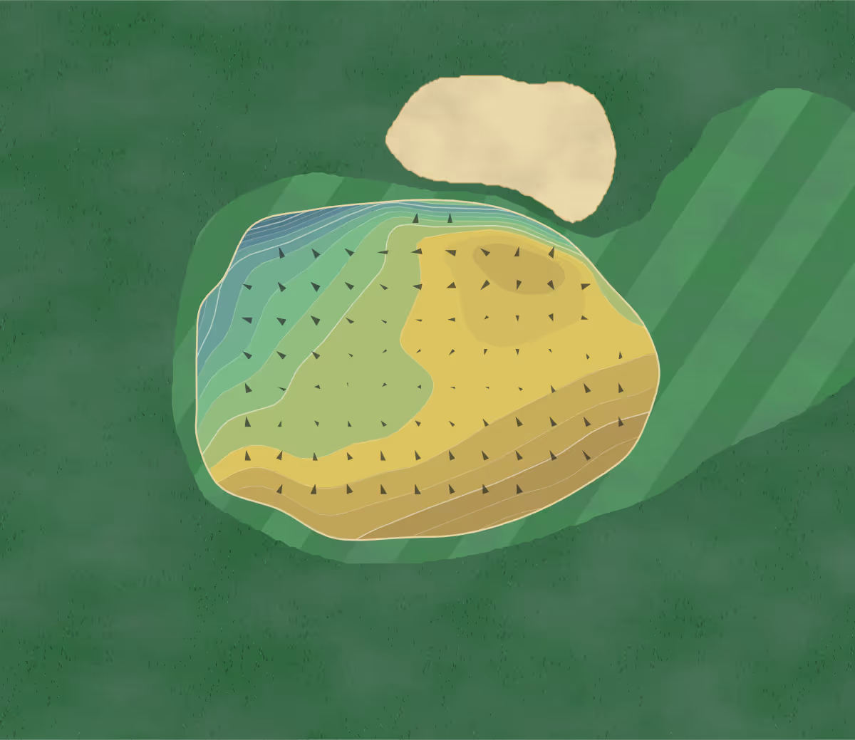 Green contour map of Tapton Park in Chesterfield, England — 223 elevation contours at a 8-centimeter interval with fall-line arrows, traced from 1-meter lidar