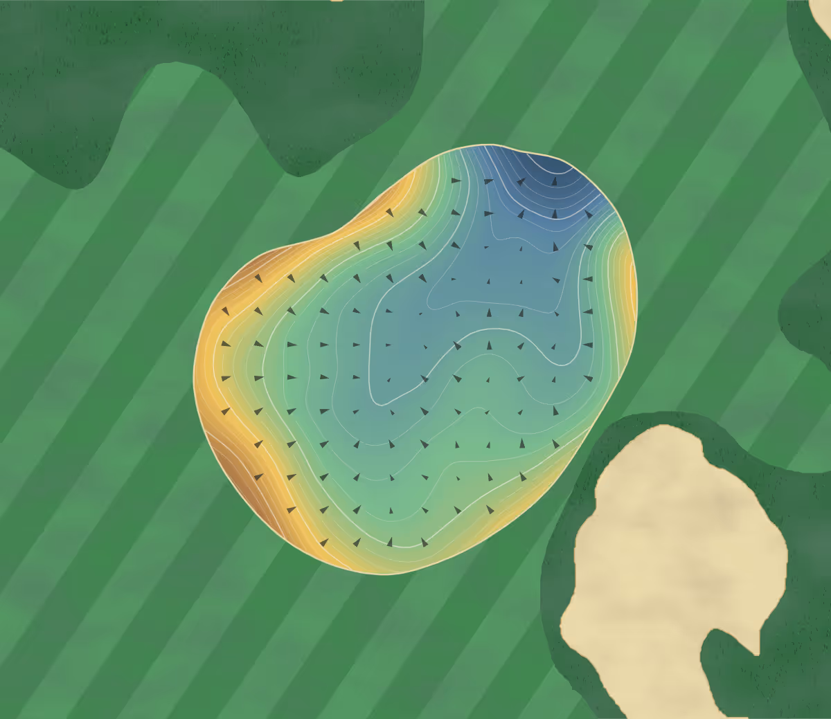 Green contour map of Tara Iti in Mangawhai, New Zealand — 307 elevation contours at a 8-centimeter interval with fall-line arrows, traced from 1-meter lidar