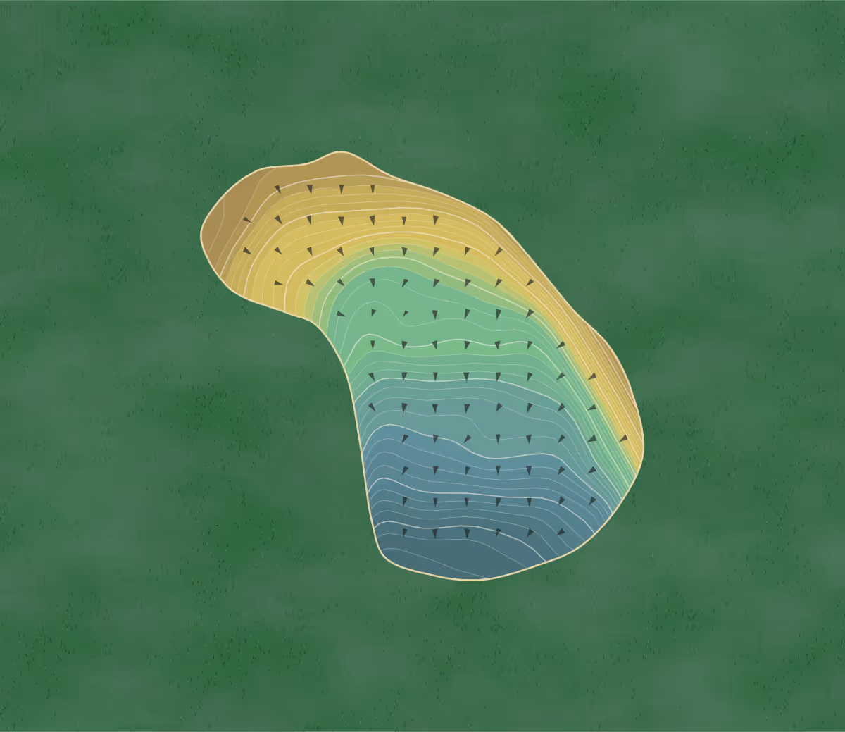 Green contour map of Taranwould Golf Course in Newark, New York — 278 elevation contours at a 3-inch interval with fall-line arrows, traced from 1-meter lidar