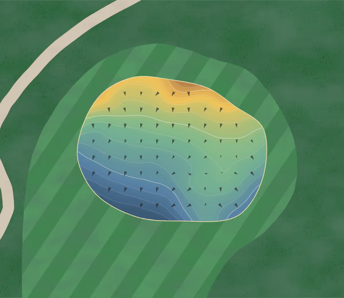 Green contour map of Tarratine Club of Dark in Islesboro, Maine — 98 elevation contours at a 3-inch interval with fall-line arrows, traced from 1-meter lidar