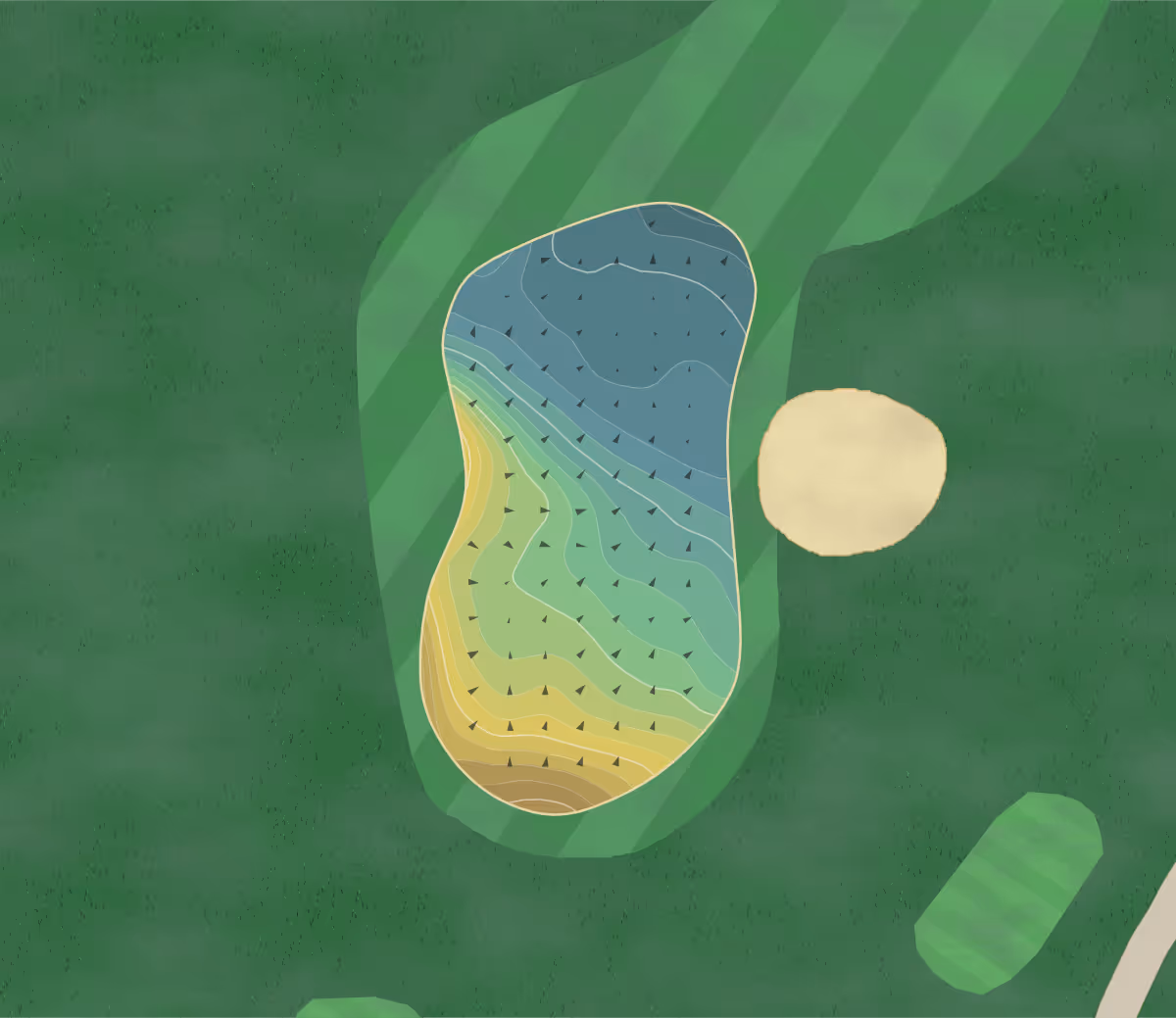 Green contour map of Taunton And in Taunton, England — 239 elevation contours at a 8-centimeter interval with fall-line arrows, traced from 1-meter lidar