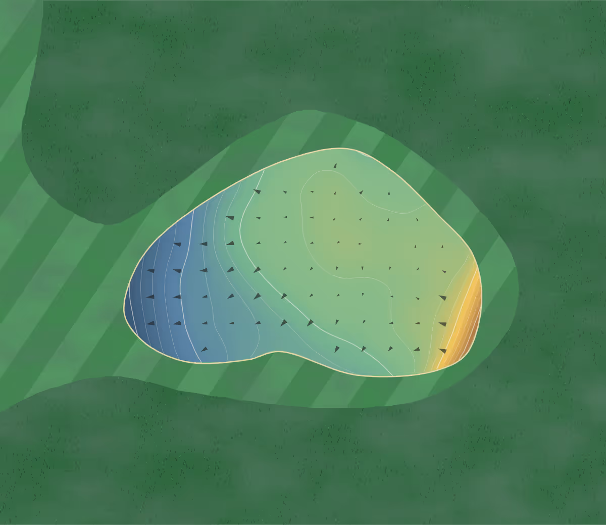 Green contour map of Te Marua in Upper Hutt, New Zealand — 175 elevation contours at a 8-centimeter interval with fall-line arrows, traced from 1-meter lidar