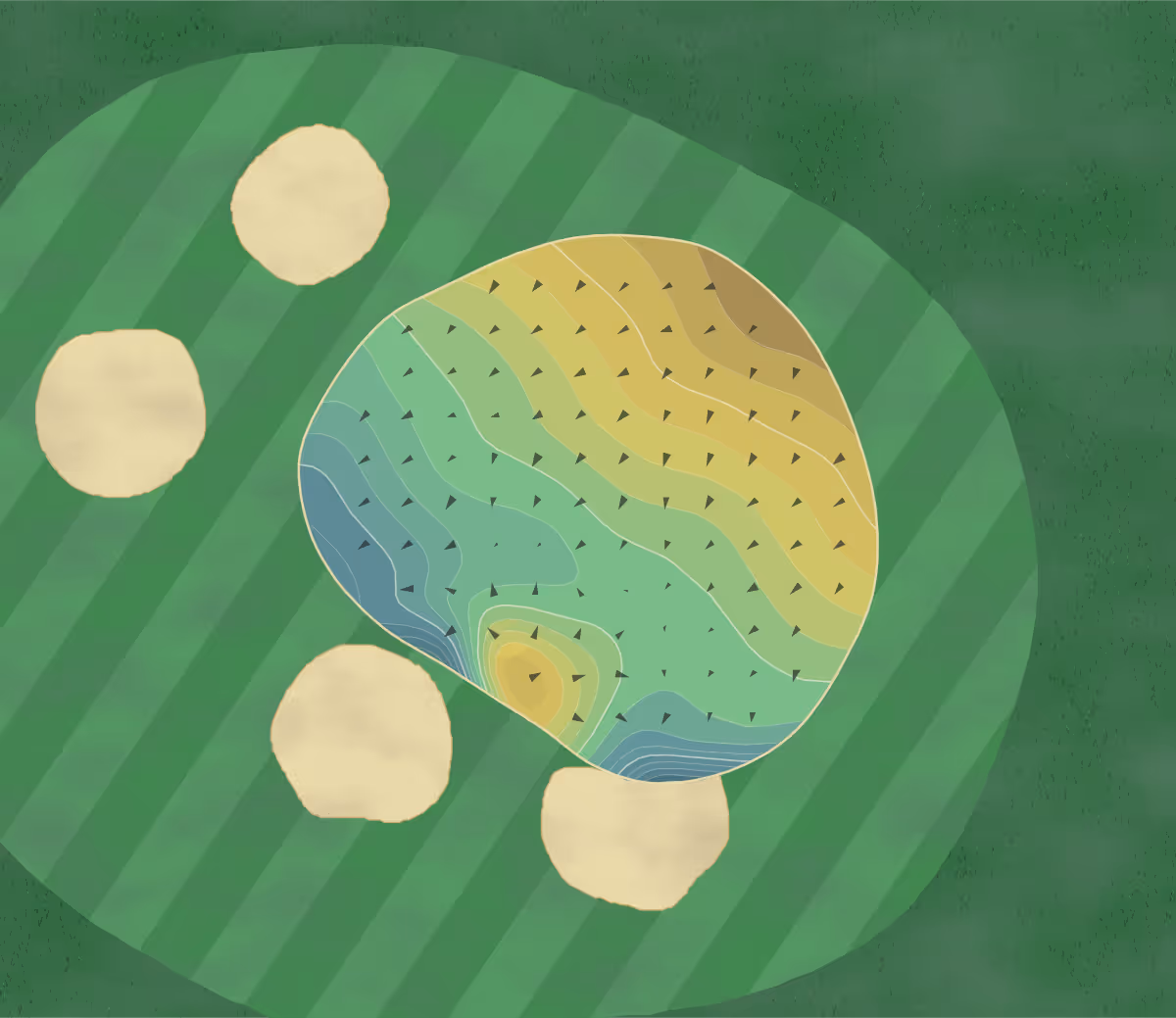 Green contour map of Tehidy Park in Camborne, England — 291 elevation contours at a 8-centimeter interval with fall-line arrows, traced from 1-meter lidar