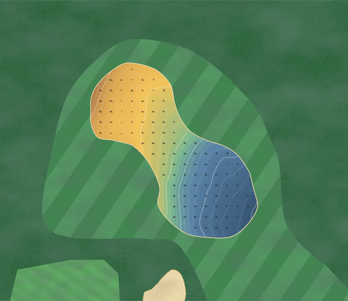Green contour map of Temple Newsam in Leeds, England — 98 elevation contours at a 8-centimeter interval with fall-line arrows, traced from 1-meter lidar