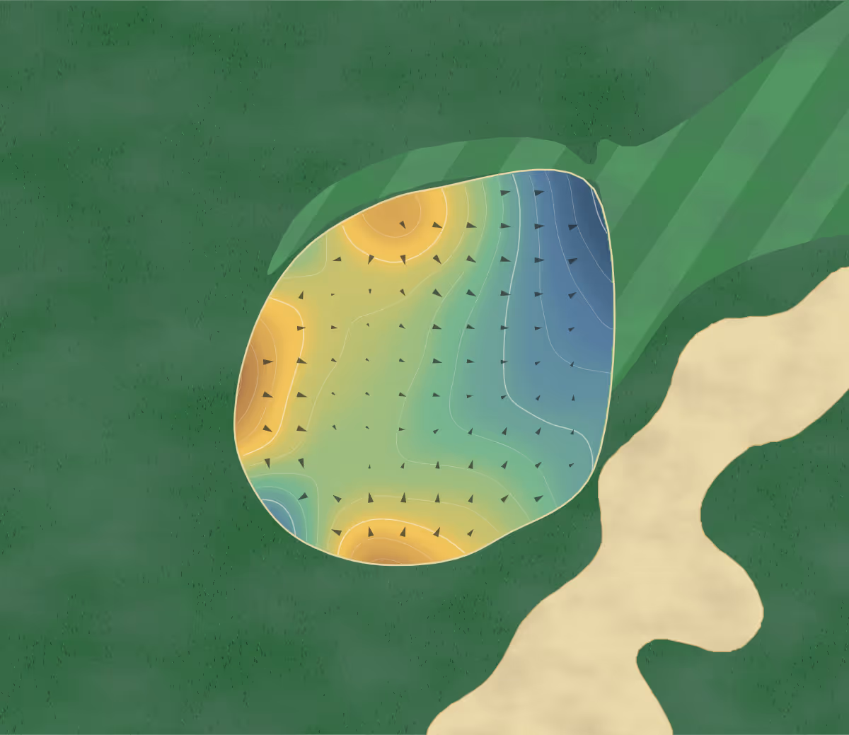 Green contour map of Vallée de Memramcook in Memramcook, Canada: 234 elevation contours at a 8-centimeter interval with fall-line arrows, traced from 1-meter lidar