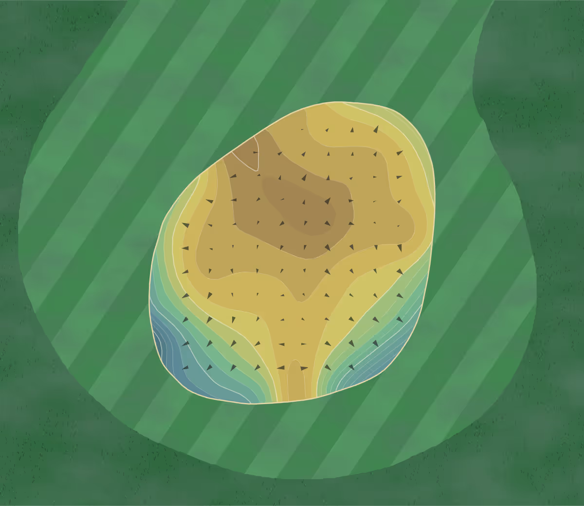 Green contour map of Texarkana CC in Texarkana, Arkansas — 233 elevation contours at a 3-inch interval with fall-line arrows, traced from 1-meter lidar