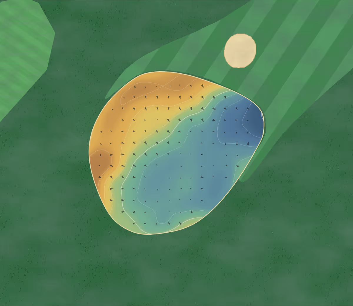 Green contour map of The Ashludie in Monifieth, Scotland: 111 elevation contours at a 8-centimeter interval with fall-line arrows, traced from 1-meter lidar