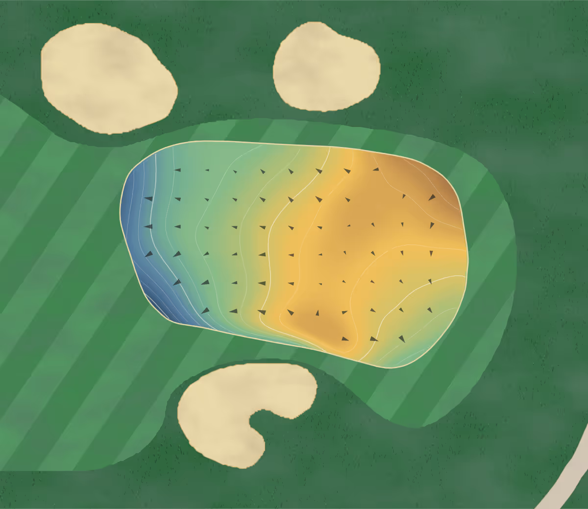 Green contour map of The Australian in Sydney, Australia — 203 elevation contours at a 8-centimeter interval with fall-line arrows, traced from 1-meter lidar