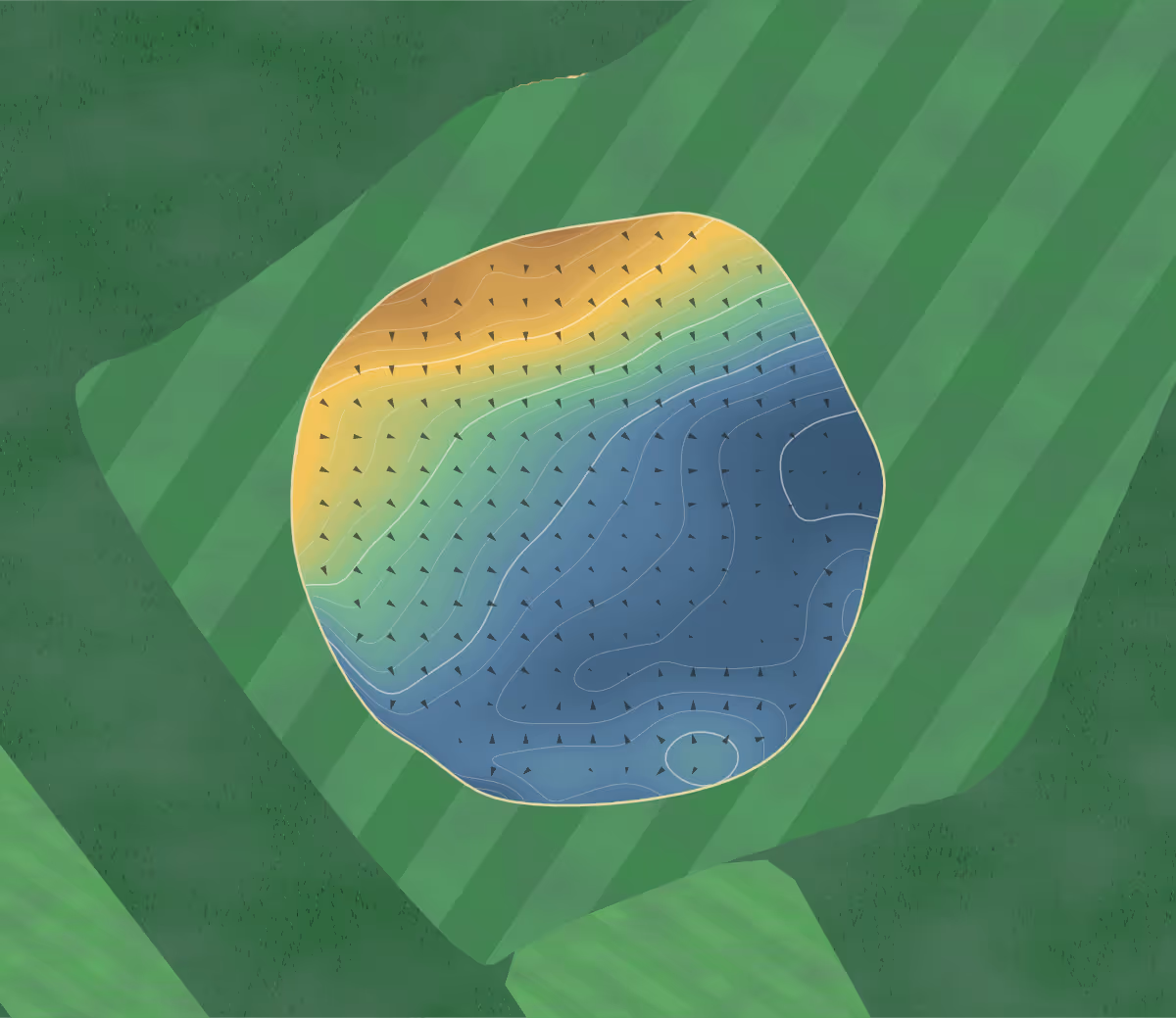 Green contour map of Baird Course in Leven, United Kingdom — 77 elevation contours at a 8-centimeter interval with fall-line arrows, traced from 1-meter lidar