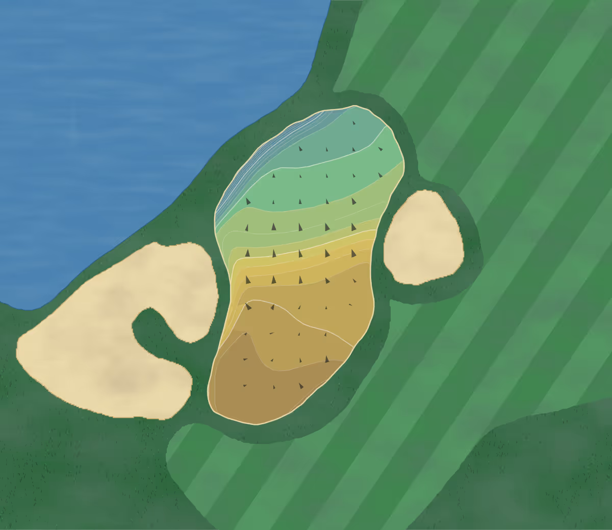 Green contour map of Bear's Club in Jupiter, Florida — 209 elevation contours at a 3-inch interval with fall-line arrows, traced from 1-meter lidar