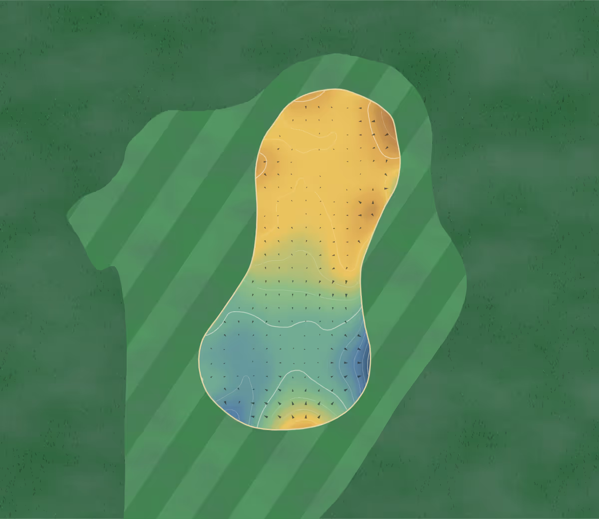 Green contour map of Carnoustie Buddon in Carnoustie, Scotland: 154 elevation contours at a 8-centimeter interval with fall-line arrows, traced from 1-meter lidar