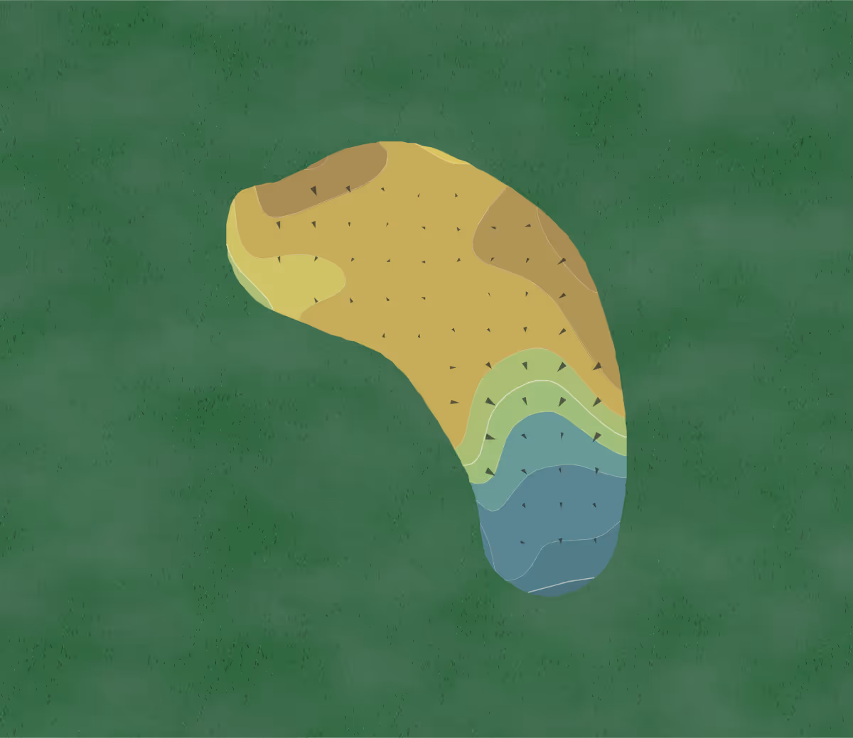 Green contour map of Lost Lake in Hobe Sound, Florida — 8 elevation contours at a 3-inch interval with fall-line arrows, traced from 1-meter lidar