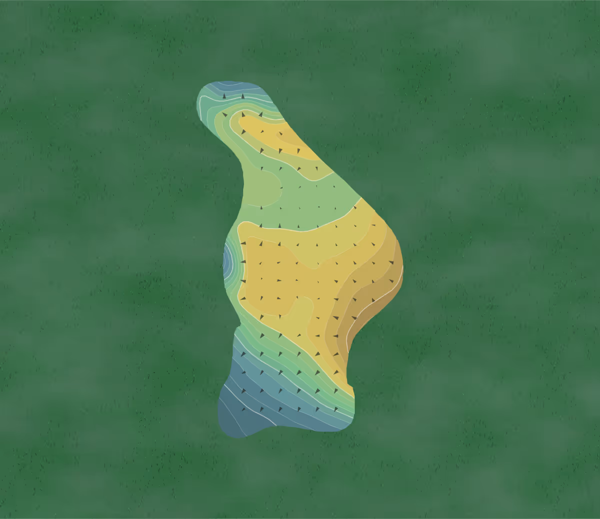Green contour map of The Club at Sea Palms in St. Simons Island, Georgia — 287 elevation contours at a 3-inch interval with fall-line arrows, traced from 1-meter lidar