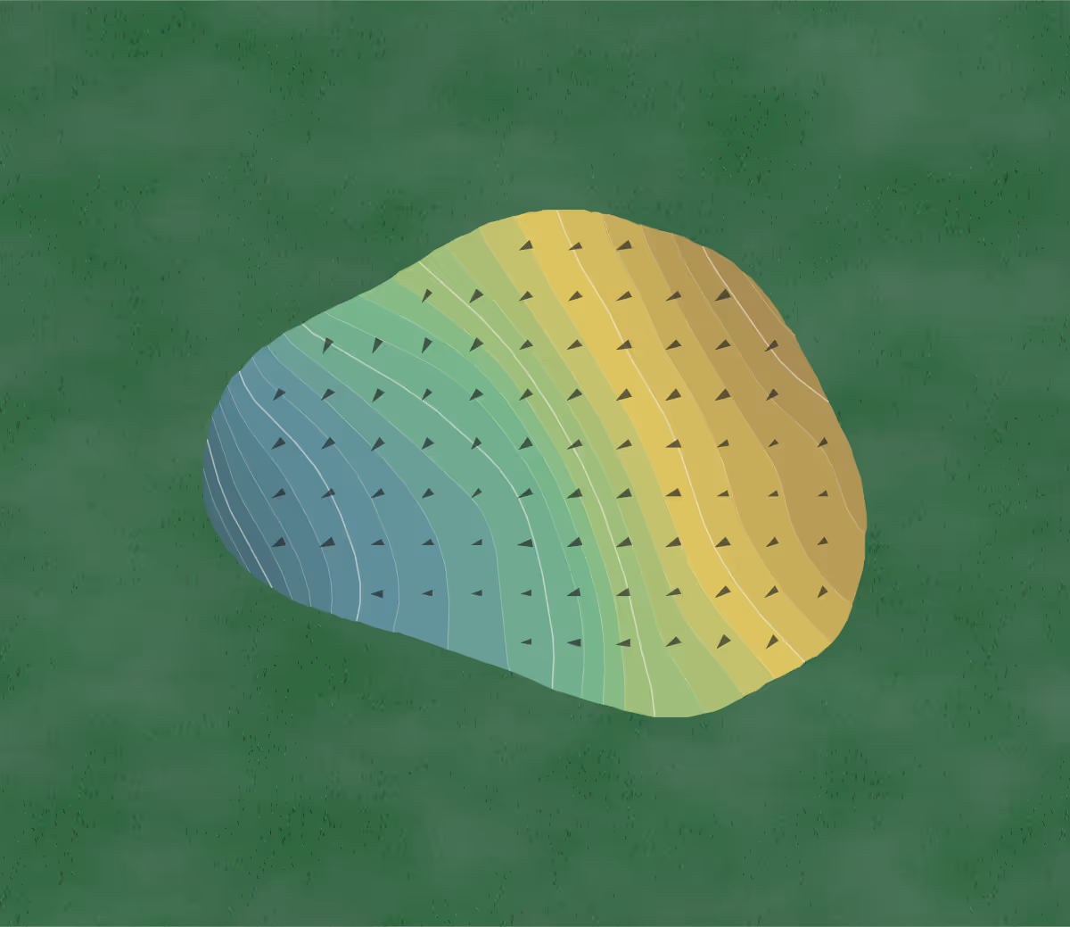 Green contour map of Lake City CC in Lake City, Florida — 198 elevation contours at a 3-inch interval with fall-line arrows, traced from 1-meter lidar