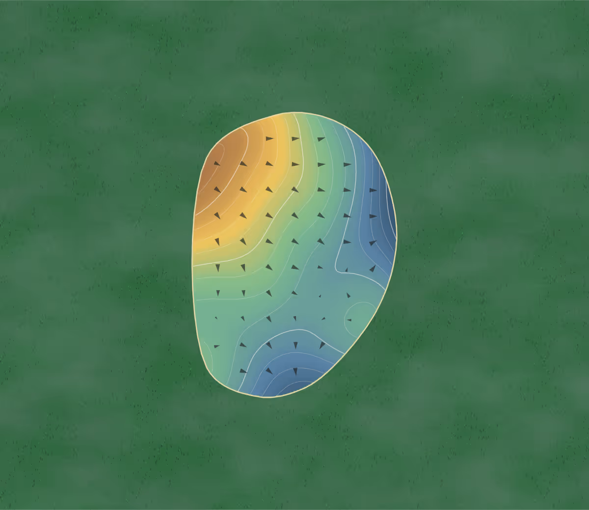Green contour map of The Country Club in Williamsburg, Kentucky: 196 elevation contours at a 3-inch interval with fall-line arrows, traced from 1-meter lidar