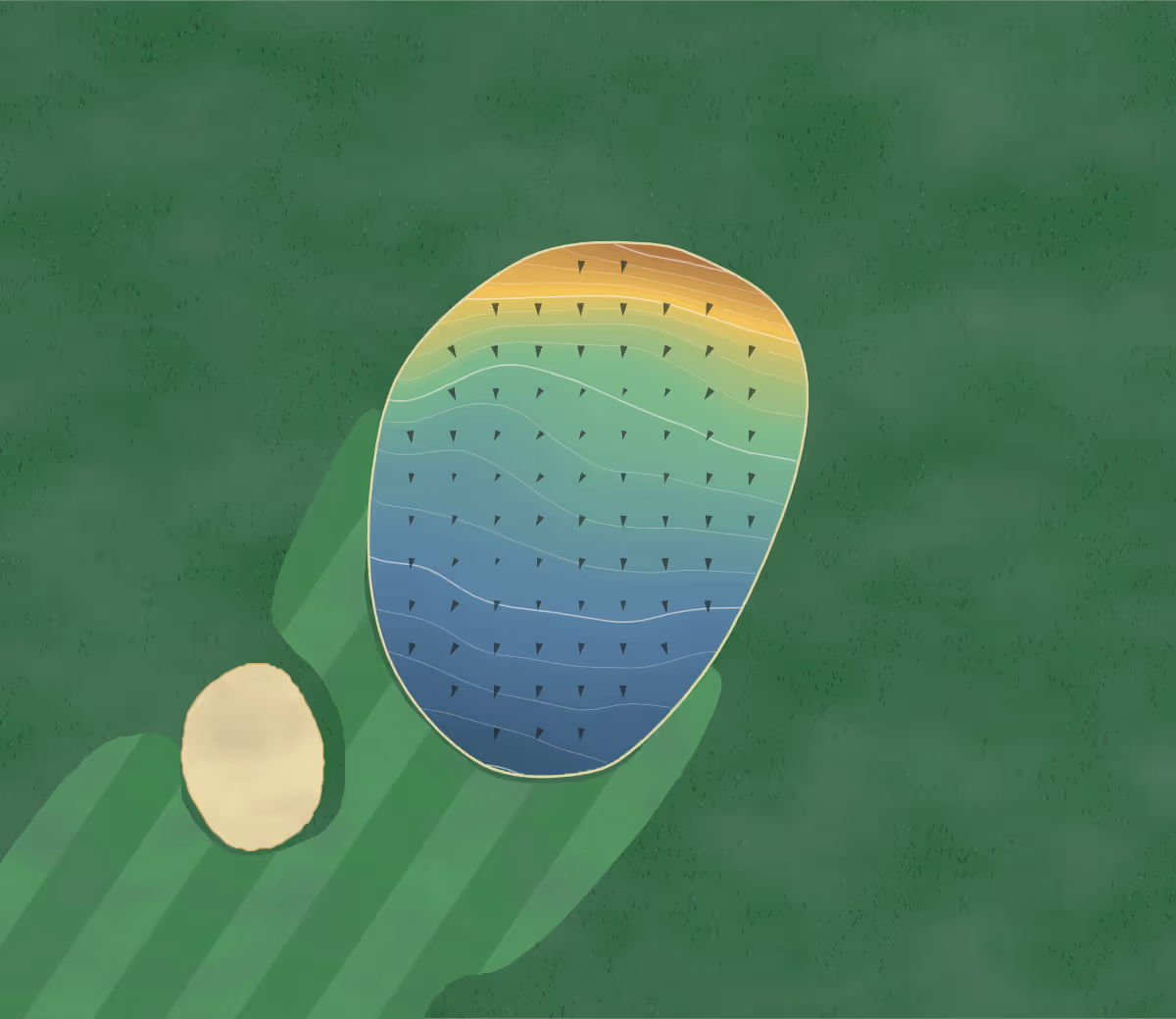 Green contour map of The Gallops in Leicester, England: 62 elevation contours at a 8-centimeter interval with fall-line arrows, traced from 1-meter lidar
